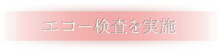 エコー検査を実施