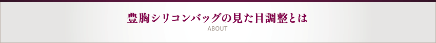 豊胸シリコンバッグの見た目調整とは