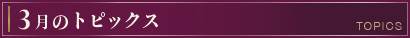 今月のトピックス