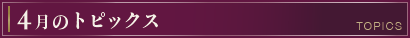 今月のトピックス