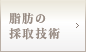 脂肪の採取技術
