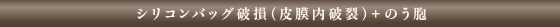 シリコンバッグ破損（皮膜内破裂）＋のう胞