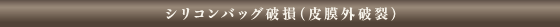 シリコンバッグ破損（皮膜外破裂）