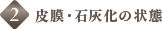 2.皮膜・石灰化の状態