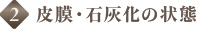 2.皮膜・石灰化の状態