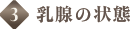 3.乳腺の状態
