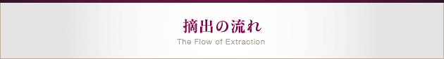 摘出の流れ
