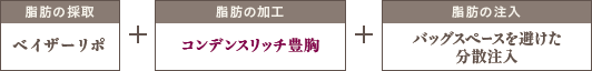 脂肪の採取：ベイザー+脂肪の加工：コンデンスリッチ豊胸+脂肪の注入：マルチプルインジェクション