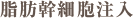 脂肪幹細胞注入