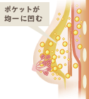 ポケットが均一に凹む
