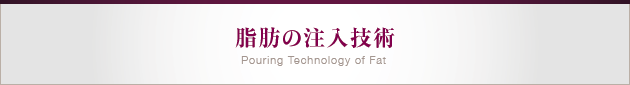 脂肪の注入技術