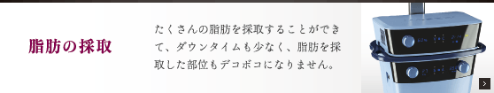 脂肪の採取：沢山の脂肪を採取することができて、ダウンタイムも少なく、脂肪を採取した部位もデコボコになりません