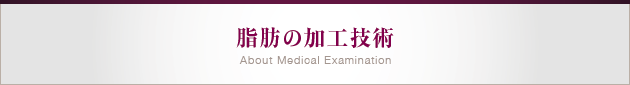脂肪の加工技術