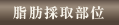 脂肪採取部位