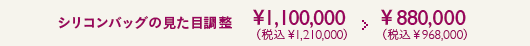 シリコンバッグの見た目調整 ¥1,100,000(税込¥1,210,000) > ¥880,000(税込¥968,000)