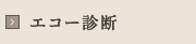 エコー診断