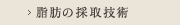 脂肪の採取技術