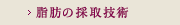 脂肪の採取技術