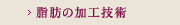 脂肪の加工技術