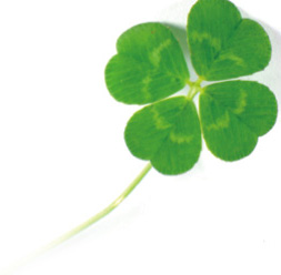 体への負担やリスクが少ない