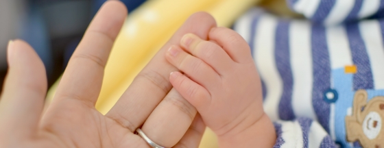 メインイメージ