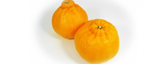 メインイメージ