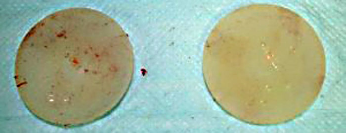 メインイメージ