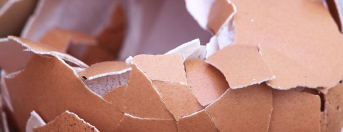 メインイメージ