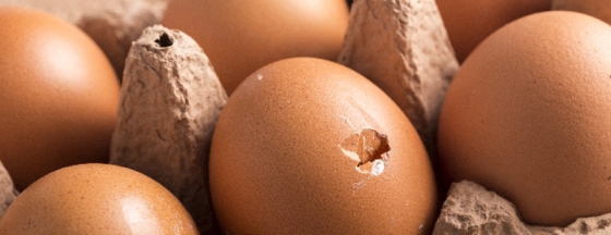 メインイメージ