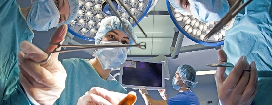 メインイメージ