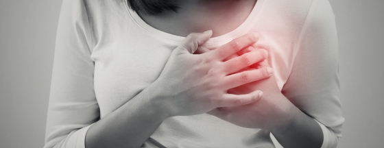 メインイメージ