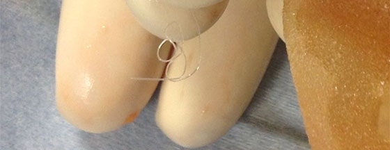 メインイメージ